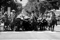 2023SBCHSParade-3