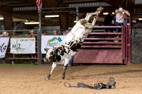 Shasta Cascade Bull Showdown 5-29-21