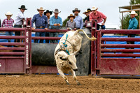 GCBB_Salinas-18
