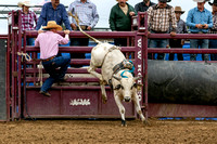 GCBB_Salinas-2